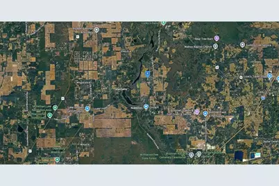 9111 Cr 622, Bushnell, FL 33513 - Photo 5