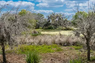 12002 Forest Park Cir, Bradenton, FL 34211 - Photo 71