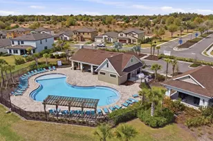 13150 Homestead Ln, Parrish, FL 34219 - Photo 57