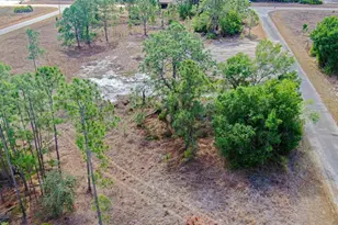 841 Dante Ave S, Lehigh Acres, FL 33974 - Photo 3