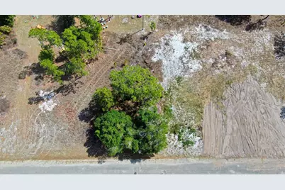 841 Dante Avenue S, Lehigh Acres, FL 33974 - Photo 5