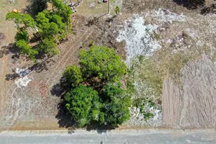 841 Dante Ave S, Lehigh Acres, FL 33974 - Photo 5