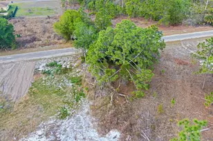 841 Dante Ave S, Lehigh Acres, FL 33974 - Photo 15