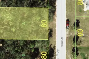 3059 Como St, Port Charlotte, FL 33948 - Photo 1