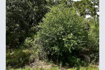 Lot 16 Rentscher Avenue, North Port, FL 34291 - Photo 1