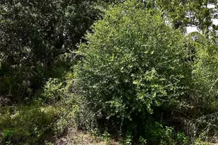 Lot 16 Rentscher Ave, North Port, FL 34291 - Photo 1