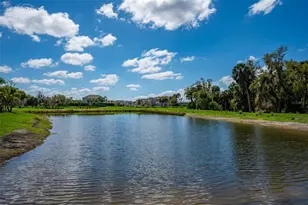 8458 Snowfall St, Sarasota, FL 34241 - Photo 41