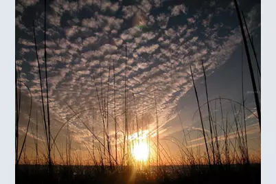 2450 Harbourside Drive #212, Longboat Key, FL 34228 - Photo 51