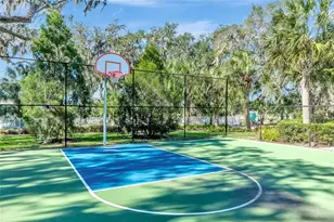 4207 Cottage Hill Ave, Parrish, FL 34219 - Photo 45