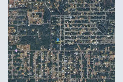 5266 S Romans Avenue, Inverness, FL 34452 - Photo 3