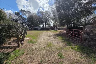 8956 SE 143rd Ln, Summerfield, FL 34491 - Photo 5