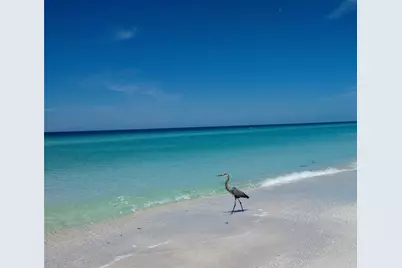 3740 Pinebrook Circle #603, Bradenton, FL 34209 - Photo 45