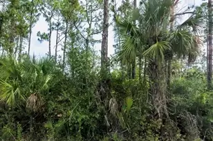 Lot 17 Donatello Ave, North Port, FL 34286 - Photo 5