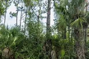 Lot 17 Donatello Ave, North Port, FL 34286 - Photo 3