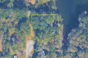 220 Blind Brook Rd, Havana, FL 32333 - Photo 1