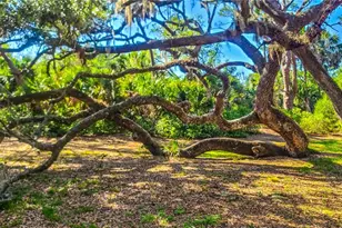 2749 Orchid Oaks Dr, Sarasota, FL 34239 - Photo 35