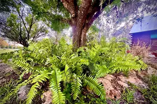 6888 Myakka Valley Trail, Sarasota, FL 34241 - Photo 85