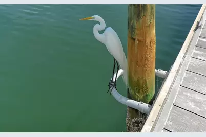 948 Spanish Drive S, Longboat Key, FL 34228 - Photo 65