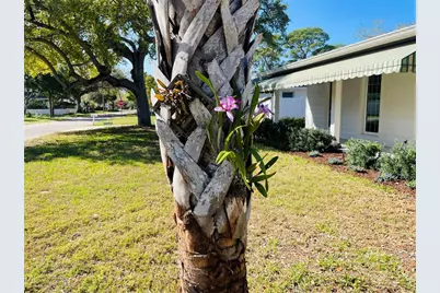 1330 S Jefferson Avenue, Sarasota, FL 34239 - Photo 35