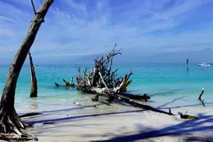 6750 Gulf of Mexico Dr, Longboat Key, FL 34228 - Photo 55