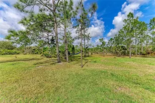 23327 Red Robin Pl, Bradenton, FL 34202 - Photo 51