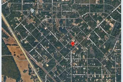 12069 W Riverwood Drive, Crystal River, FL 34428 - Photo 7