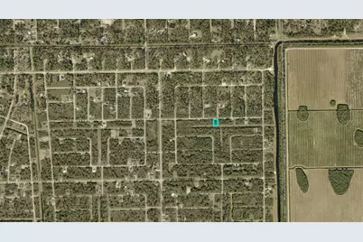 1226 Ravenswood Street E, Lehigh Acres, FL 33974 - Photo 3