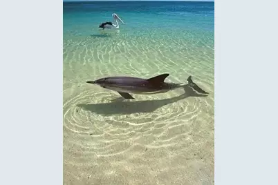 13845 Old Creek Court, Parrish, FL 34219 - Photo 51