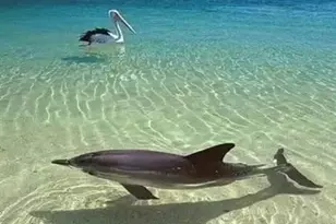 13845 Old Creek Ct, Parrish, FL 34219 - Photo 51