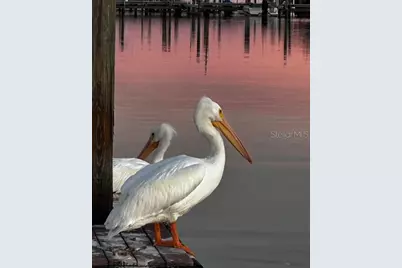 10315 Cortez Road W #27F, Bradenton, FL 34210 - Photo 49