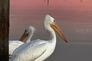 10315 Cortez Road W, Bradenton, FL 34210 - Photo 49