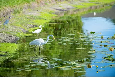 5234 Mahogany Run Avenue, Sarasota, FL 34241 - Photo 87