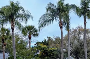 6896 W Country Club Ln, Sarasota, FL 34243 - Photo 21