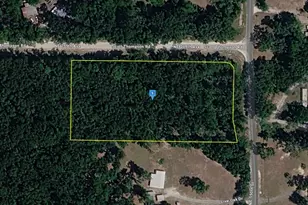 455 NE 550th St, Old Town, FL 32680 - Photo 1