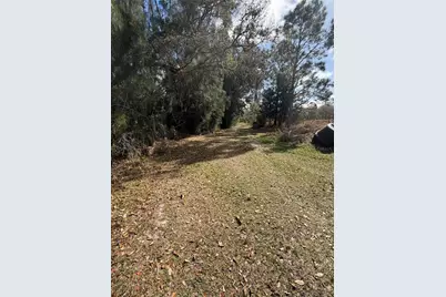 1211 NW Eucalyptus Avenue, Arcadia, FL 34266 - Photo 15