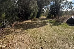 1211 NW Eucalyptus Ave, Arcadia, FL 34266 - Photo 15