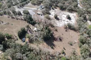 1211 NW Eucalyptus Ave, Arcadia, FL 34266 - Photo 23