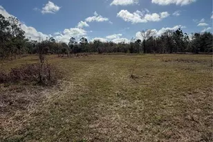 1211 NW Eucalyptus Ave, Arcadia, FL 34266 - Photo 17