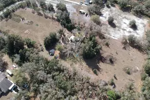 1211 NW Eucalyptus Ave, Arcadia, FL 34266 - Photo 21