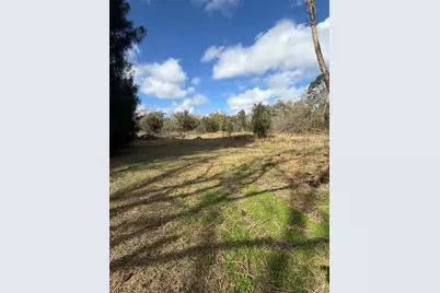 1211 NW Eucalyptus Avenue, Arcadia, FL 34266 - Photo 13