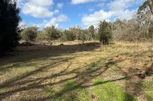 1211 NW Eucalyptus Ave, Arcadia, FL 34266 - Photo 13