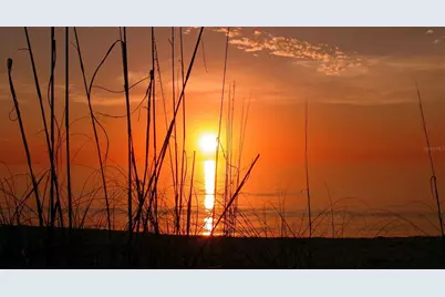 4380 Exeter Drive #101, Longboat Key, FL 34228 - Photo 81