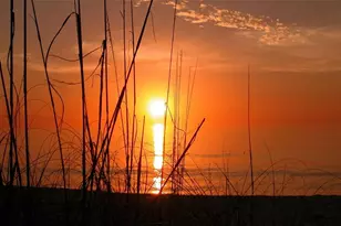 4380 Exeter Dr, Longboat Key, FL 34228 - Photo 81