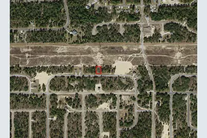 6786 N Pavilion Loop, Citrus Springs, FL 34433 - Photo 3