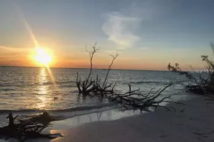 7143 Wood Creek Dr, Sarasota, FL 34231 - Photo 41