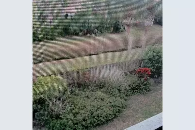 7143 Wood Creek Drive #203, Sarasota, FL 34231 - Photo 23