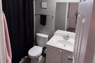 313 Oak Rose Ln, Tampa, FL 33612 - Photo 11