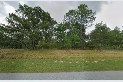 817 W Smallman Place, Citrus Springs, FL 34434 - Photo 3