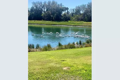 3513 76th Street E, Palmetto, FL 34221 - Photo 45