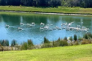 3513 76th St E, Palmetto, FL 34221 - Photo 45